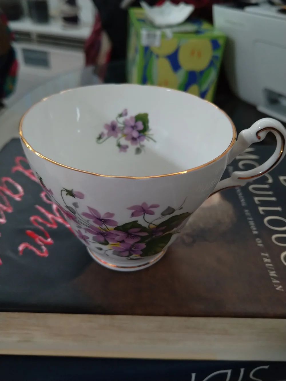 Regency English Bone China Teacup - White with Gold Trim